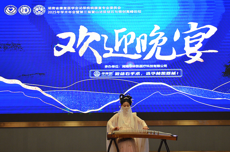 古筝表演
