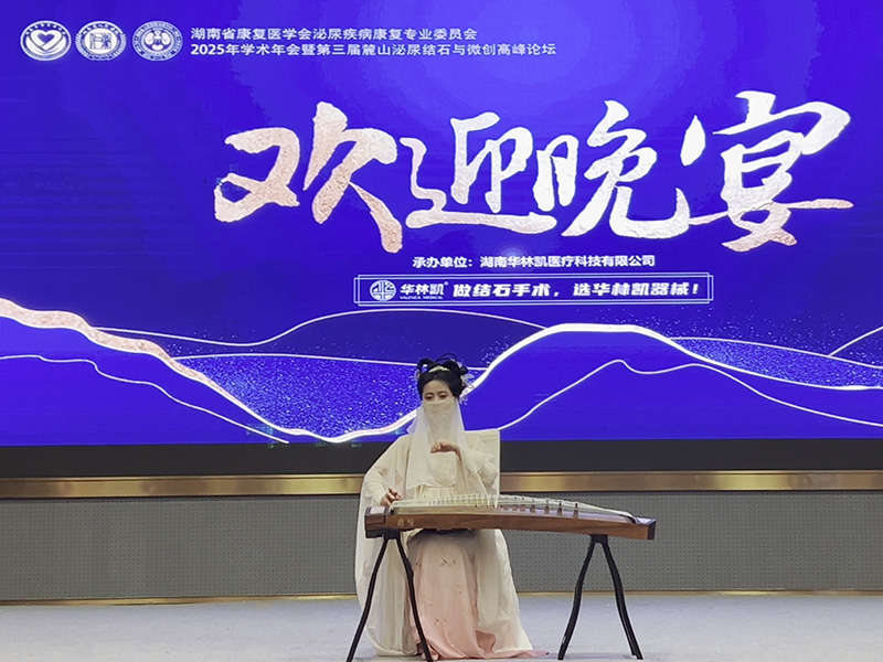古筝表演