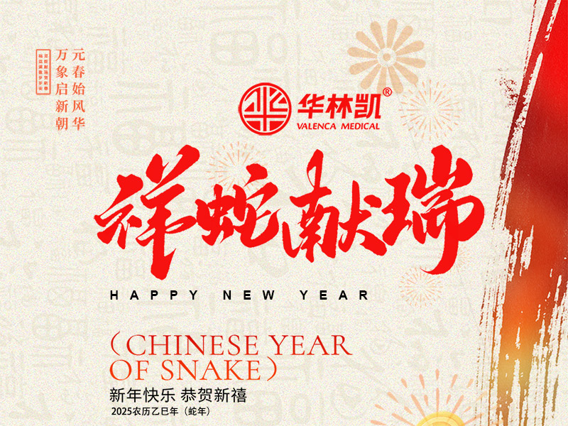 祥蛇献瑞贺新春，福运满盈岁岁安。